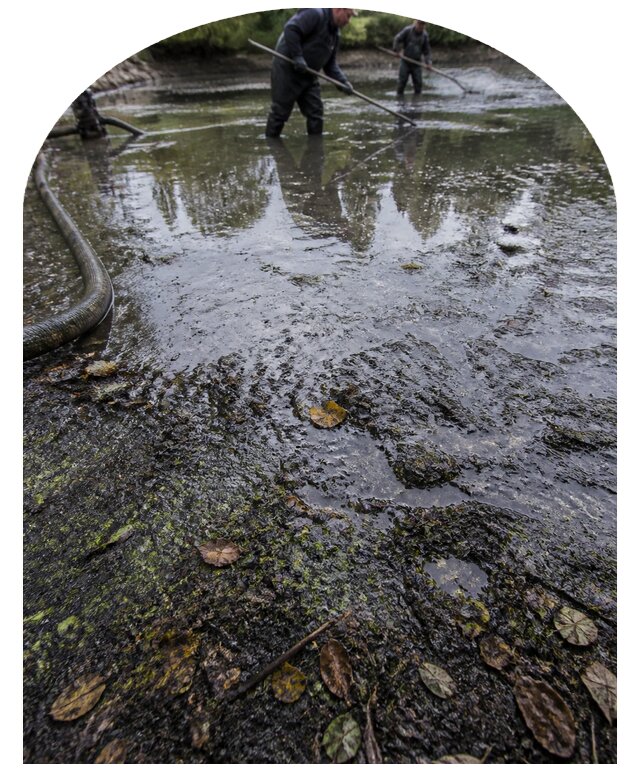 Очистка пруда в Саянске от ила мусора и водорослей с вывозом